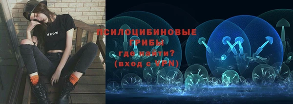 ешки Нефтегорск