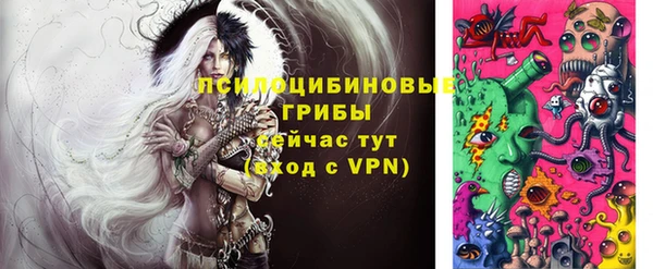 ешки Нефтегорск