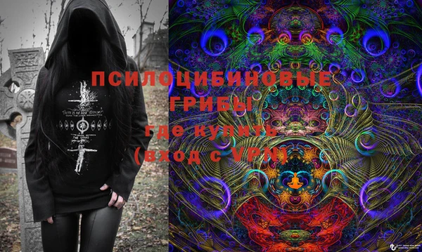 ешки Нефтегорск