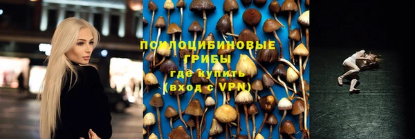 ешки Нефтегорск