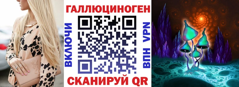 маркетплейс официальный сайт Сальск Псилоцибиновые грибы Psilocybe где найти